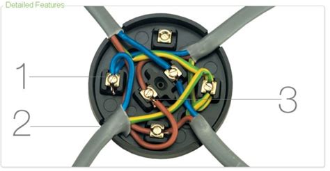 3 way round junction box|junction box wiring identification.